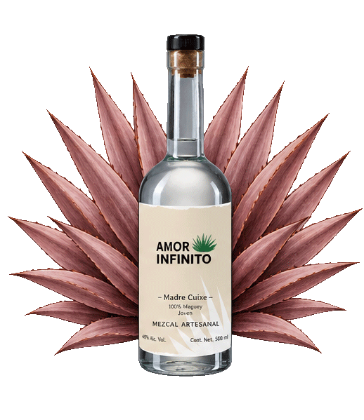 Mezcal Amor Infinito Madre Cuishe 500 ml